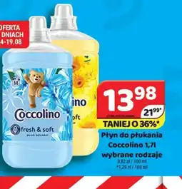 Delfin Płyn do płukania Coccolino oferta