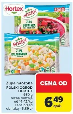 Carrefour Zupa mrożona Polski Ogród Hortex oferta