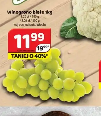 Delfin Winogrono białe oferta
