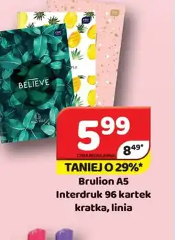 Delfin Brulion A5 Interdruk oferta