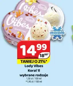 Delfin Lody Vibes Koral oferta