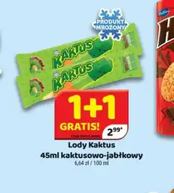 Delfin Lody Kaktus oferta