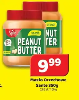 Delfin Masło Orzechowe Sante oferta
