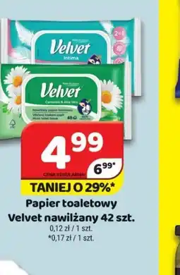 Delfin Papier toaletowy Velvet nawilżany oferta