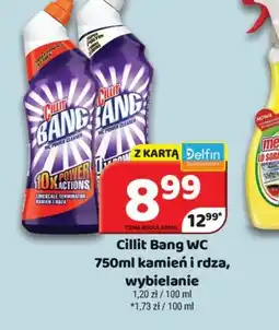 Delfin Cillit Bang WC oferta