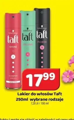 Delfin Lakier do włosów Taft oferta