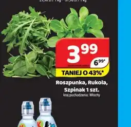 Delfin Roszpunka, Rukola, Szpinak oferta
