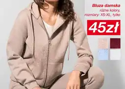 KiK Bluza damska oferta