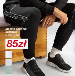 KiK Męskie spodnie dresowe oferta