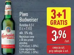 ALDI Piwo Budweiser oferta