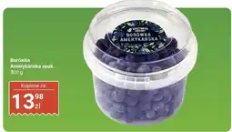 Biedronka Borówka amerykańska 300 g Biedronka oferta