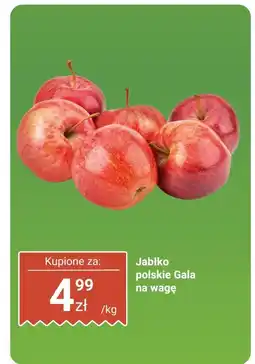 Biedronka Jabłko polskie Gala na wagę Biedronka oferta