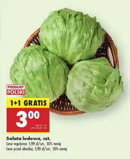 Biedronka Sałata lodowa Biedronka oferta
