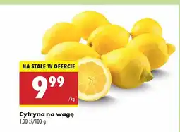 Biedronka Cytryna Biedronka oferta