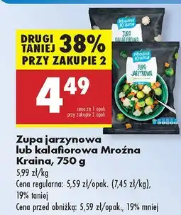 Biedronka Zupa jarzynowa lub kalafiorowa Mrożna Kraina oferta