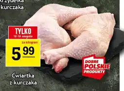 Gram Market Ćwiartka z kurczaka oferta
