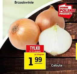 Gram Market Cebula oferta