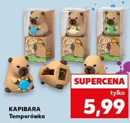 Kaufland Temperówka oferta