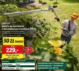 Lidl PARKSIDE Nożyce do żywopłotu z teleskopowym trzonkiem 710 W oferta
