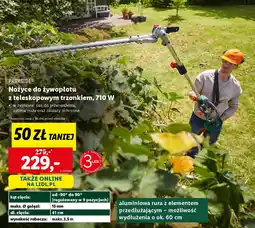 Lidl PARKSIDE Nożyce do żywopłotu z teleskopowym trzonkiem oferta