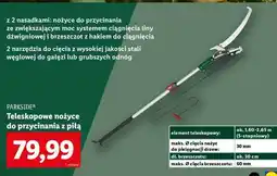 Lidl PARKSIDE Teleskopowe nożyce do przycinania z piłą oferta