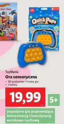 Lidl Gra sensoryczna oferta