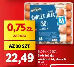 Lidl ZŁOTA NIOSKA oferta