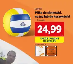 Lidl Piłka do siatkówki, nożna lub do koszykówki oferta
