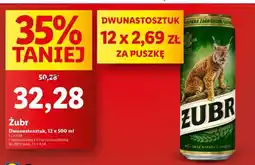 Lidl Żubr oferta