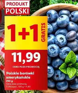 Lidl Polskie borówki amerykańskie oferta