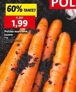 Lidl Polska marchew, luzem oferta