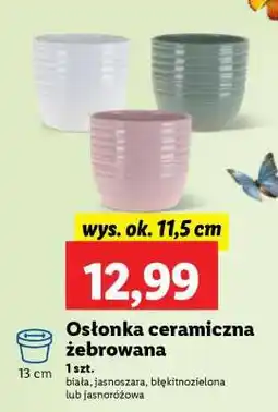 Lidl Osłonka ceramiczna żebrowana oferta