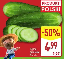 ALDI Ogórki Polski oferta