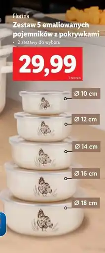Lidl Pojemniki emaliowane z pokrywkami Florina (Florentyna) oferta