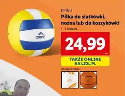 Lidl Piłka do koszykówki Crivit oferta
