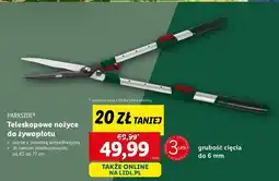 Lidl Nożyce teleskopowe do żywopłotu Parkside oferta