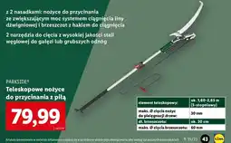 Lidl Teleskopowe nożyce 2w1 i piła do pielęgnacji drzew Parkside oferta