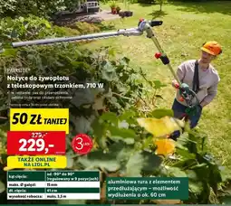 Lidl Nożyce teleskopowe do żywopłotu Parkside oferta
