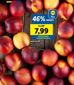 Lidl Nektarynki oferta
