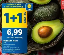 Lidl Awokado hass oferta