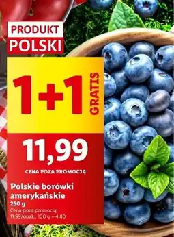 Lidl Borówki amerykańskie oferta
