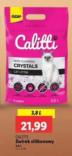 Lidl Żwirek silikonowy Calitti oferta