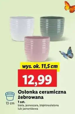 Lidl Osłonka ceramiczna żebrowa 11.5 cm oferta