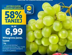Lidl Winogrona jasne 1 kg Lidl oferta
