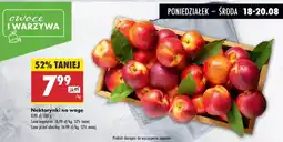 Biedronka Nektarynki Biedronka oferta