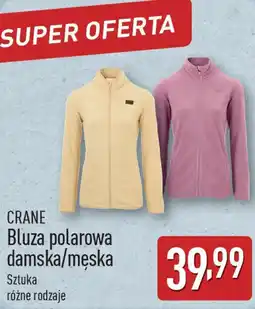 ALDI Bluza polarowa damska/męska oferta