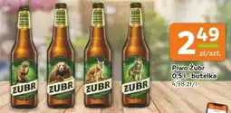 Gama Piwo Żubr oferta