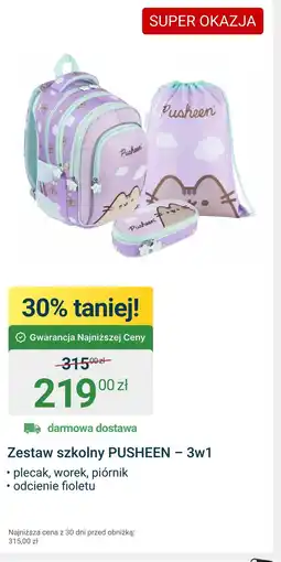 ERLI Zestaw szkolny Pusheen oferta