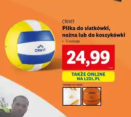 Lidl Piłka do siatkówki Crivit oferta