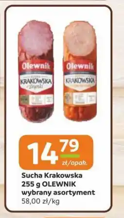Gama Sucha krakowska olewnik oferta